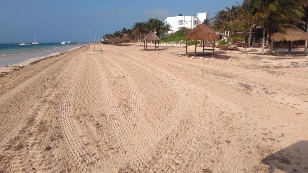 Destaca la labor de brigadas de trabajadores municipales, entre ellos elementos de la Secretaría municipal de Seguridad Pública y Tránsito