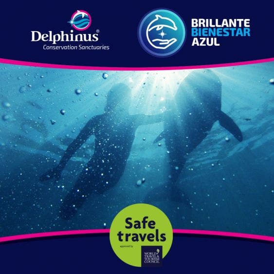 Delphinus, entre las primeras organizaciones en recibir el CPPSIT; esta certificación es parte de los protocolos sanitarios “Brillante Bienestar Azul”.