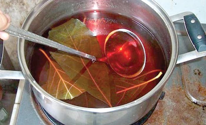 Elimina lombrices y parásitos con té de hojas de aguacate