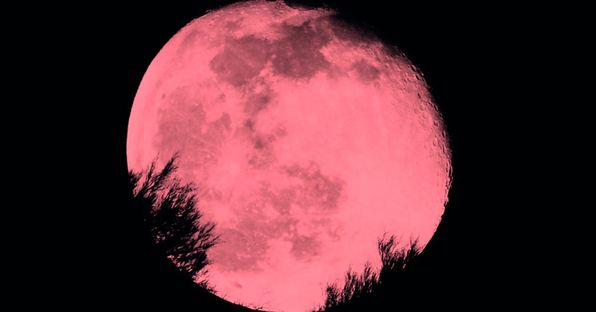 Mhoni Vidente | Luna de Fresa: Afectaciones que tendrás según tu signo del zodiaco