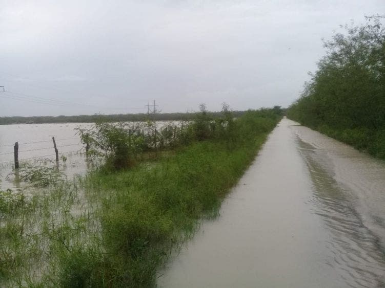 Ganaderos de José María Morelos temerosos por perder sus animales; afecta al hato ganadero escurrimientos provenientes de Campeche.