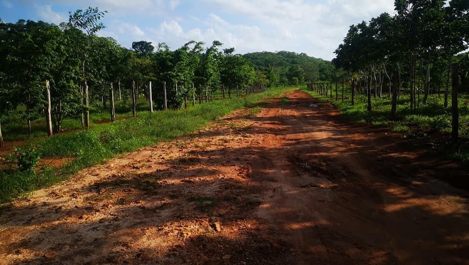 Morelenses piden energía eléctrica en colonia de reciente creación; hacen un llamado a las autoridades para que atiendan peticiones.