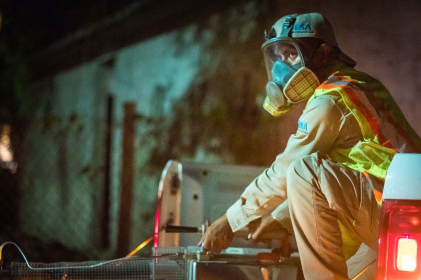 Por plaga de moscos fumigan 88 colonias de Chetumal; el problema se agudizó con las lluvias recientes y temen brote de enfermedades.