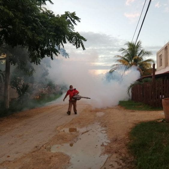 Continúan trabajos de nebulización en contra del mosquito en Lázaro Cárdenas; realizan trabajos de termonebulización para el control larvario.