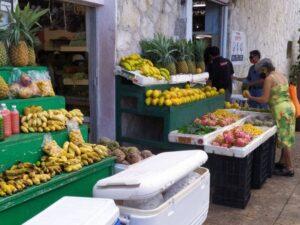 Insumos incrementarían sus precios por alza en el costo del ferry de carga.