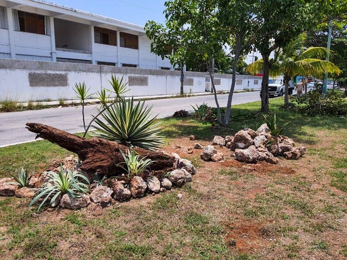 Trabajan para mejorar la imagen urbana de Cancún; se utilizan materiales reciclados como piedras, madera y llantas.