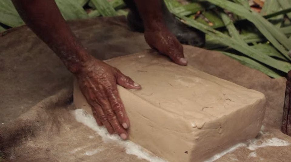Chicle orgánico de Quintana Roo resiste a la pandemia; negocian con el mercado italiano para elevar la cuota de exportación.
