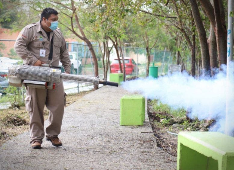 Brigadas de limpieza continúan sus labores en Puerto Morelos: Laura Fernández, luego del impacto de tres fenómenos hidrometeorológicos, dos de ellos huracanes, durante el mes de octubre