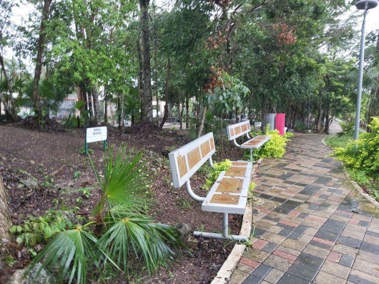 Ante los fuertes aguaceros, trabajadores de Servicios Públicos limpian alcantarillas retirando hojas de árboles y la basura que algunas personas tiran en la vía pública