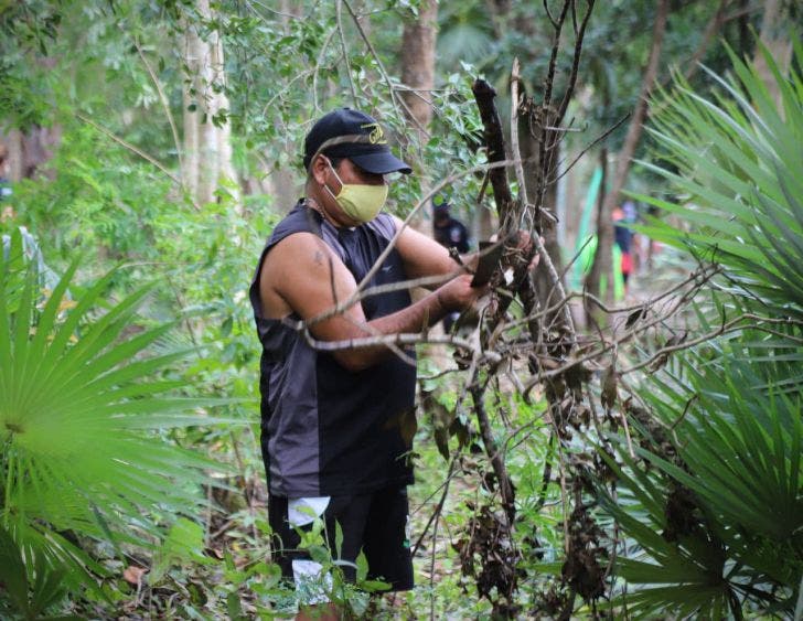 Avanza limpieza integral de Puerto Morelos ordenada por Laura Fernández, luego del impacto de tres fenómenos meteorológicos en menos de 25 días, dos de ellos huracanes