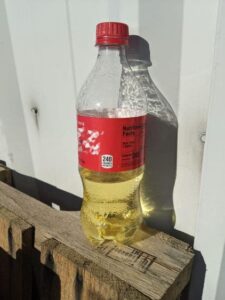 Esto pasa cuando dejas una Coca-cola al sol durante un mes
