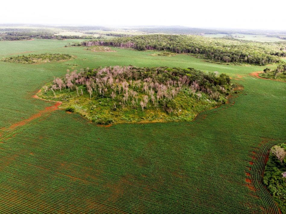 La yucateca Leydy Pech gana el "Novel" del medioambiente