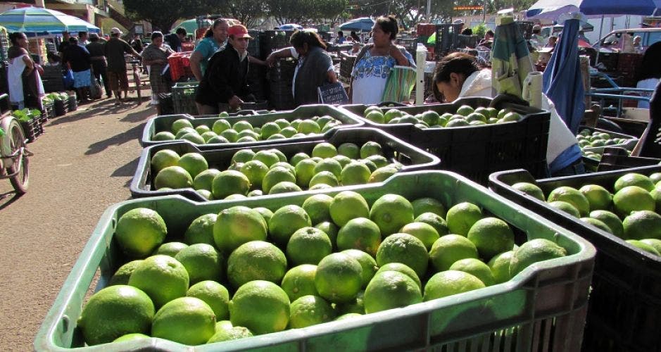 Mercados de Oxkutzcab permanecerán cerrados el 24 y 31 de diciembre