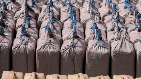 Más de 1.000 kilos de hachís ocultos en la bodega de un pesquero fueron incautados en las costas del núcleo costero de Mazagón, en la provincia de Huelva