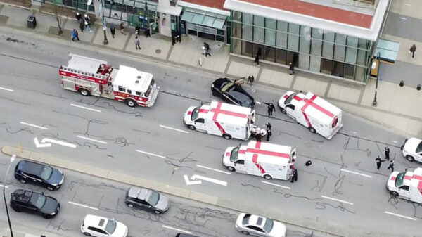 Demente acuchilla a usuarios de una biblioteca
