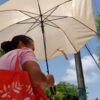 Pronóstico del Clima Yucatán: llegará la temperatura hasta 41 grados