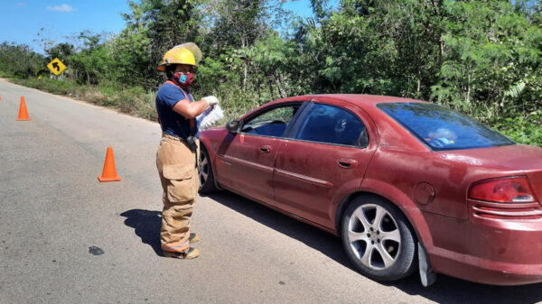 Previenen incendios forestales en Lázaro Cárdenas