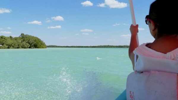 Playas de Celestún se preparan para ser visitadas por turistas en Semana Santa