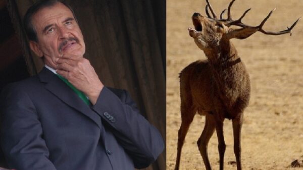 Fox, un “siervo de la ignorancia”, así lo exhibe Julio “Astillero”