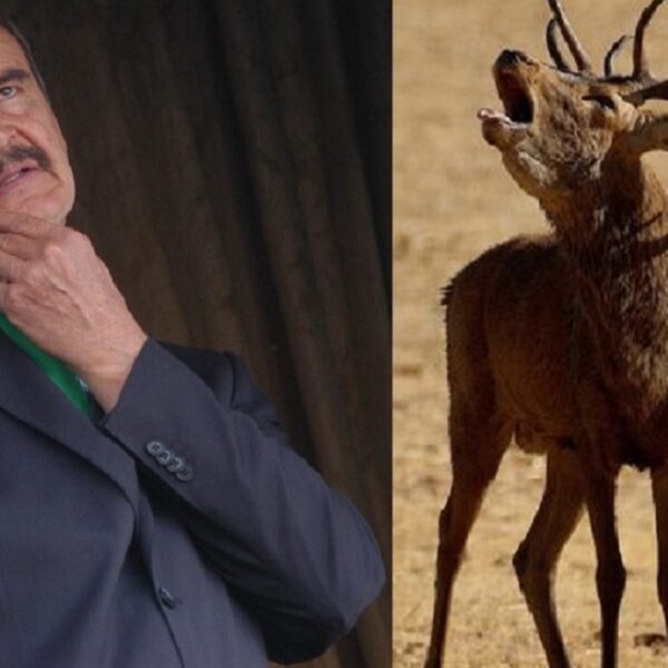 Fox, un “siervo de la ignorancia”, así lo exhibe Julio “Astillero”