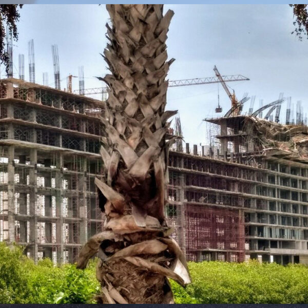 Constructoras de Quintana Roo pugnarán por obras