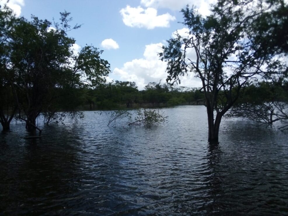 Ecoturismo en El Cedral será impulsado