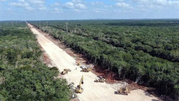 Avanzan los trabajos en el tramo 1 del Tren Maya (VIDEO).