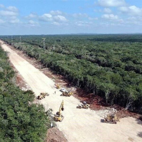 Avanzan los trabajos en el tramo 1 del Tren Maya (VIDEO).