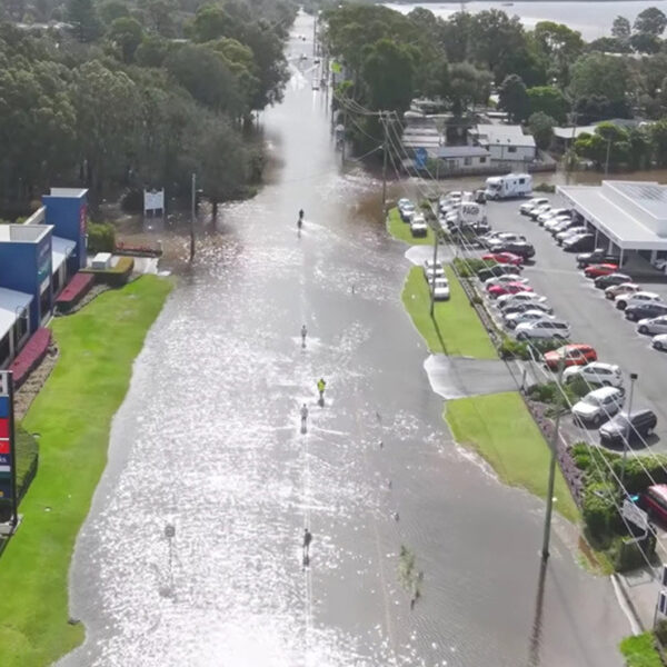 Espantosa invasión de arañas en una ciudad que huyen de inundación