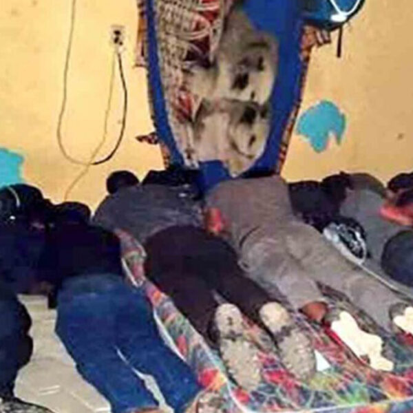 Policías rescatan a migrantes privados de su libertad en Tamaulipas