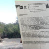 Exhiben permiso del Ayuntamiento para tala de mangle en Isla Grande de Holbox.