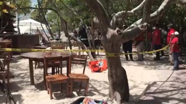 Palapa mata a turista en Isla Mujeres