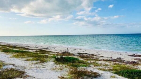 Estas playas no cerrarán durante Semana Santa en Yucatán