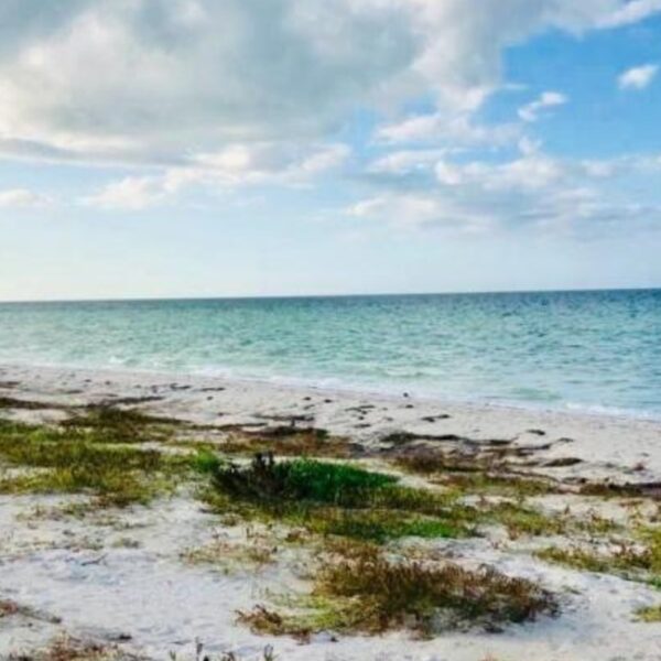 Estas playas no cerrarán durante Semana Santa en Yucatán