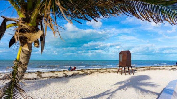 ¿Conoces la playa virgen de Yucatán? Te invitamos a conocerla