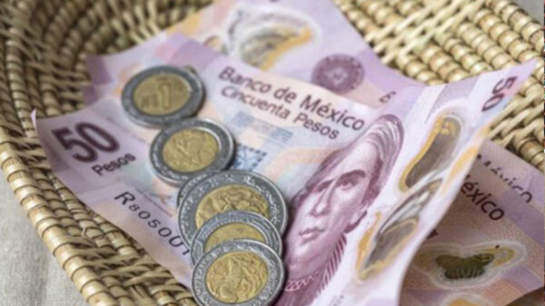 Concientizarán a comensales a dejar mas propinas