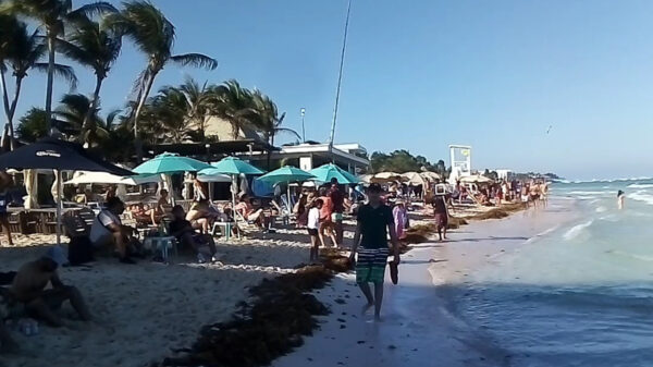 Instalarán filtros covid-19 en playas de Playa del Carmen