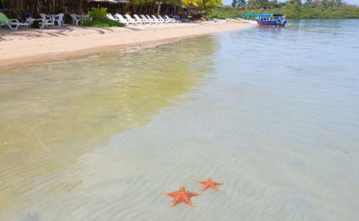 Estas playas no cerrarán durante Semana Santa en Yucatán