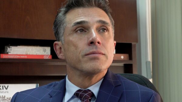 Sergio Mayer, sus funciones y su sueldo como diputado federal