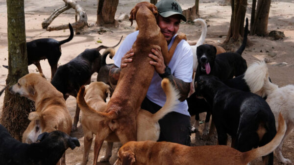 Hombres armados toman "Tierra de Animales" en Cancún