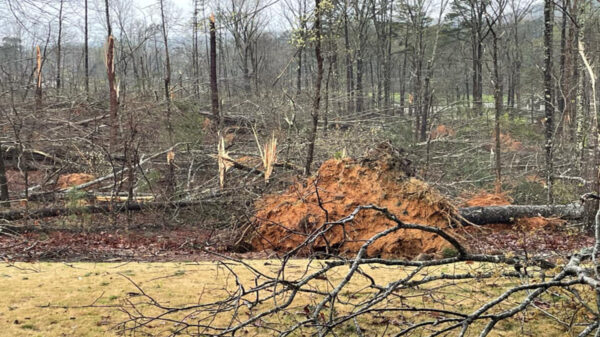Cuando se encontraba en un transmisión en vivo informando sobre los tornados, un meteorólogo se da cuenta que el fenómeno había afectado su casa