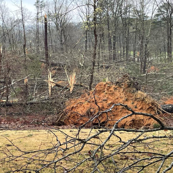 Cuando se encontraba en un transmisión en vivo informando sobre los tornados, un meteorólogo se da cuenta que el fenómeno había afectado su casa