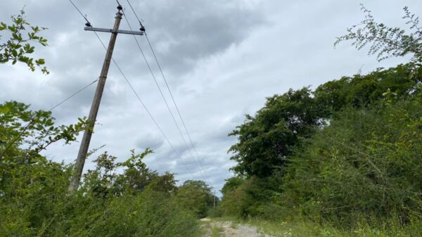 Postes de la CFE a punto de caer en comunidades mayas de Felipe Carrillo Puerto.
