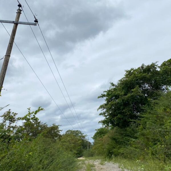 Postes de la CFE a punto de caer en comunidades mayas de Felipe Carrillo Puerto.