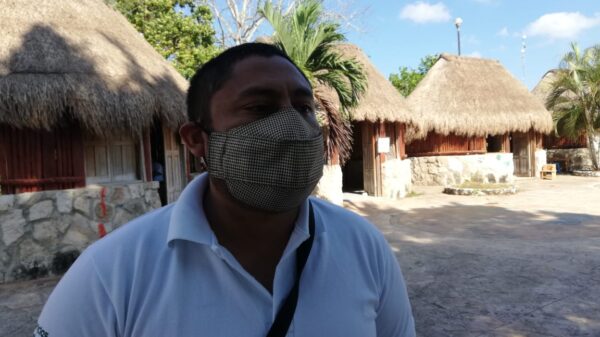 En Lázaro Cárdenas ignora titular de Ecología sobre tala ilegal de mangle.