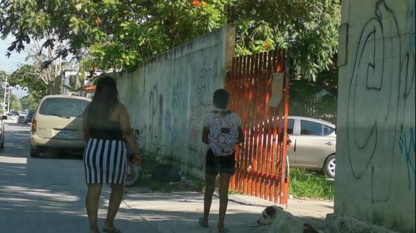 En México, 740 mil alumnos desertaron del curso lectivo pasado.