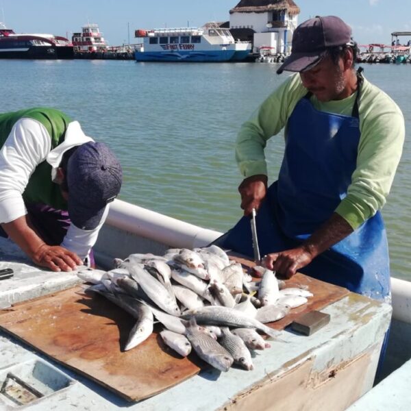Pescadores no se dan abasto para cubrir la demanda en Chiquilá y Holbox.