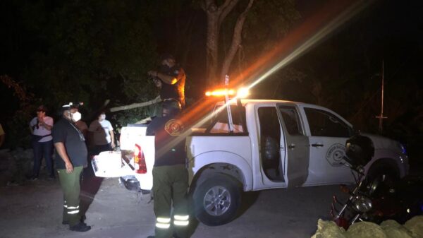 Apoyan a familias que perdieron todo en un incendio en El Tintal; elementos de la Comisión Nacional de Emergencias entregaron lo donado.