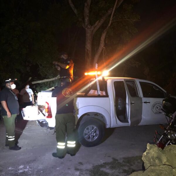 Apoyan a familias que perdieron todo en un incendio en El Tintal; elementos de la Comisión Nacional de Emergencias entregaron lo donado.