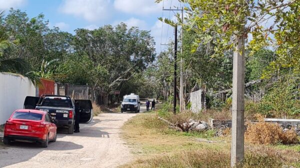 Video: Hallan cadáver ensabanado en la delegación Alfredo V. Bonfil.